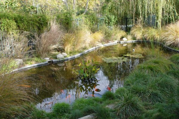 Riviera Pools & Spas Water Feature