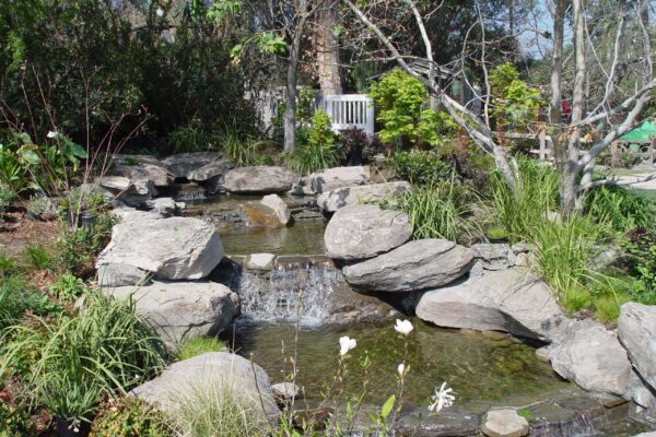 Riviera Pools & Spas Water Feature