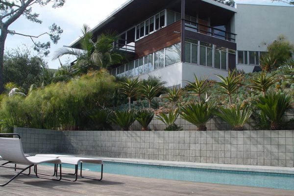 beautiful-wooden-deck-with-palm-trees-and-pool_riviera-pools-and-spas_premium-pool-builder-in-los-angeles-and-southern-california