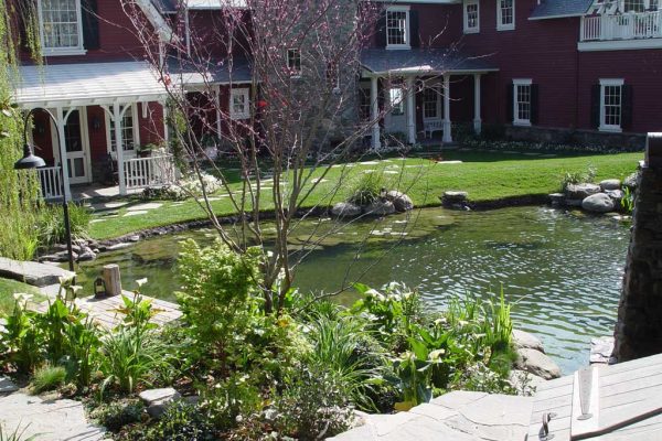 beautifully-designed-custom-pond-3_riviera-pools-and-spas_premium-pool-builder-in-los-angeles-and-southern-california