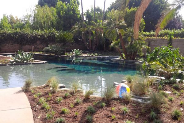 fun-pool-surrounded-by-plants-and-trees_riviera-pools-and-spas_premium-pool-builder-in-los-angeles-and-southern-california